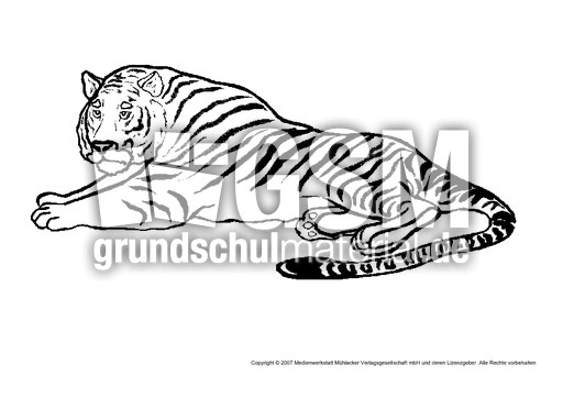 Tiger-2.pdf